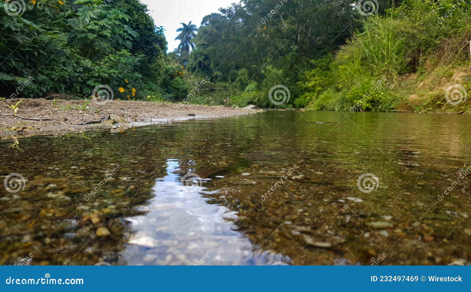 rio de agua cristalina