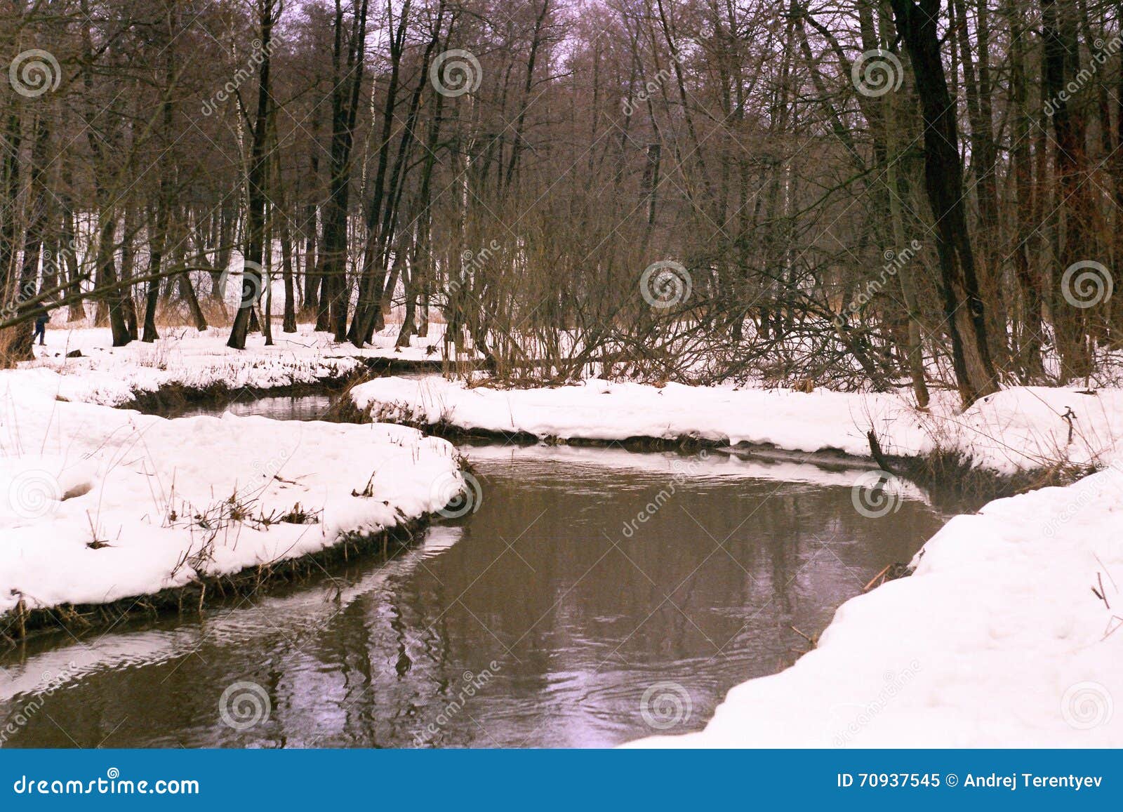 Rio do inverno na floresta