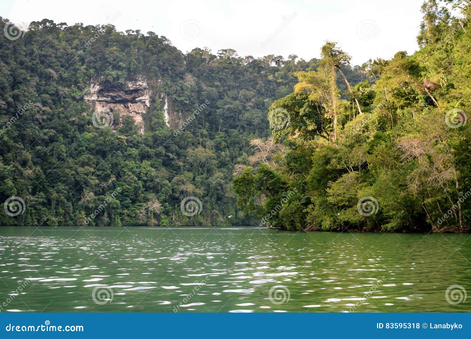 rio dulce landscapes near livingston, guatemala