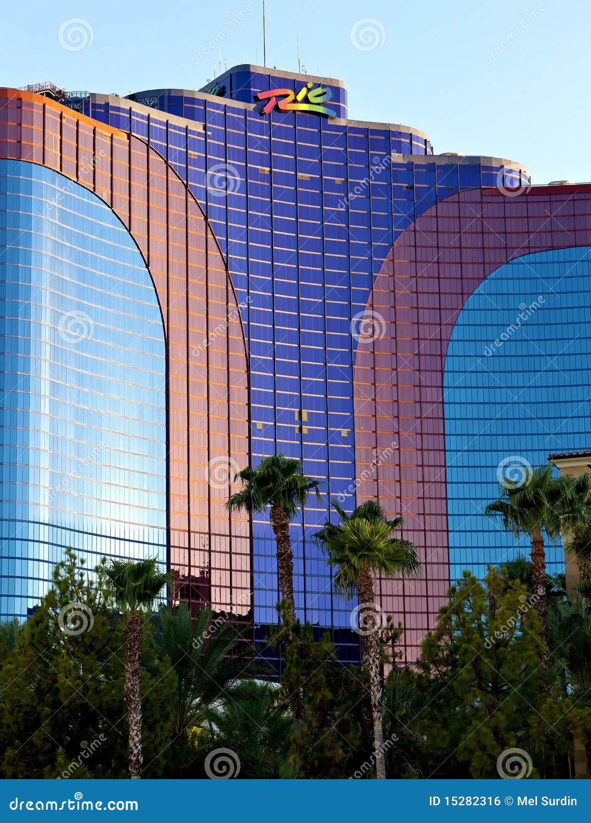 Rio Las Vegas Wikidnd Elvish Translator
