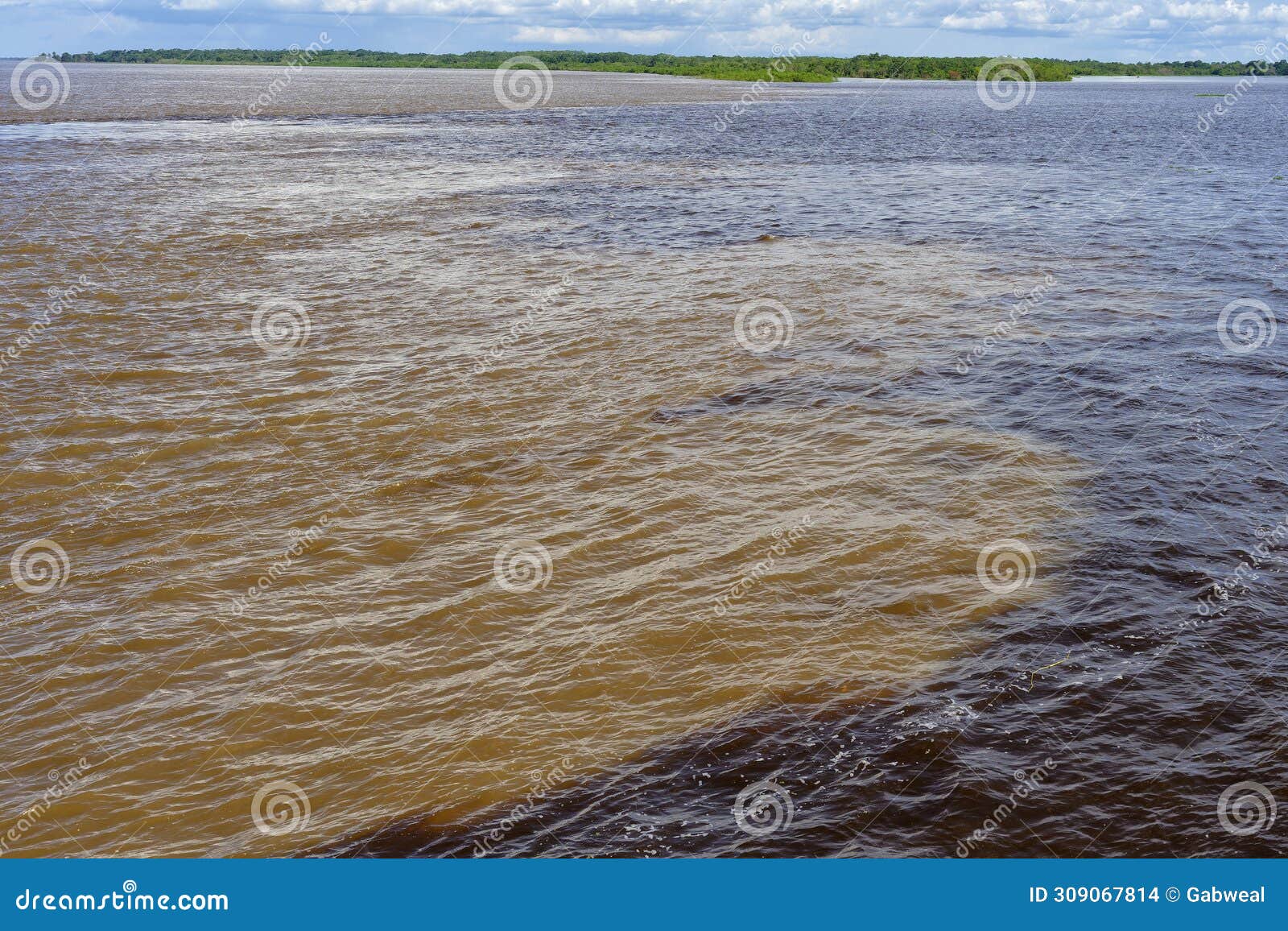 rio negro and solimoes forming the amazon river, manaus, amazonas state, brazil