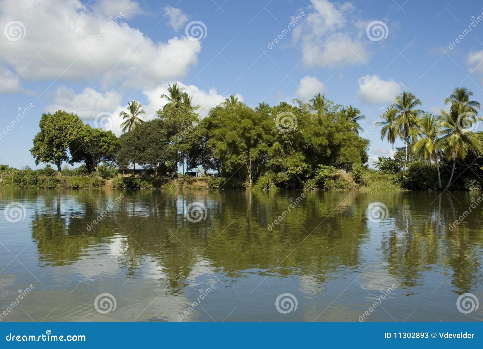 rio sierpe in costa rica.