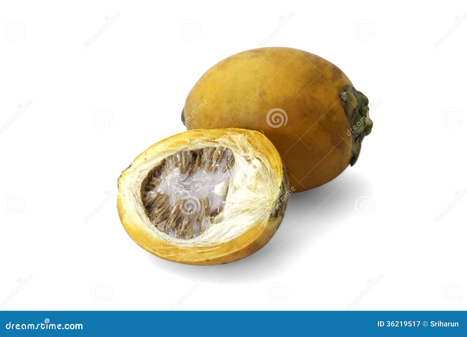 ripe acera or betel palm nut fruit