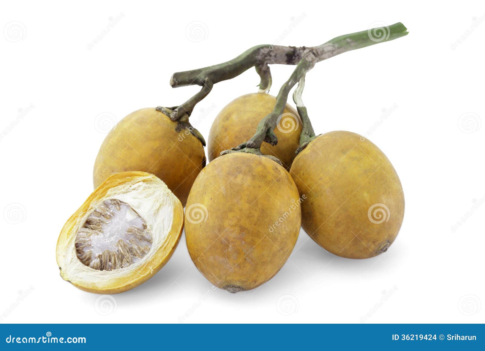 ripe acera or betel palm nut fruit with path