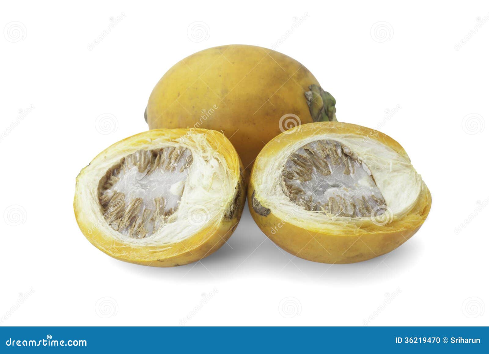 Ripe Acera Or Betel Palm Nut Fruit With Path Stock Photo Image of