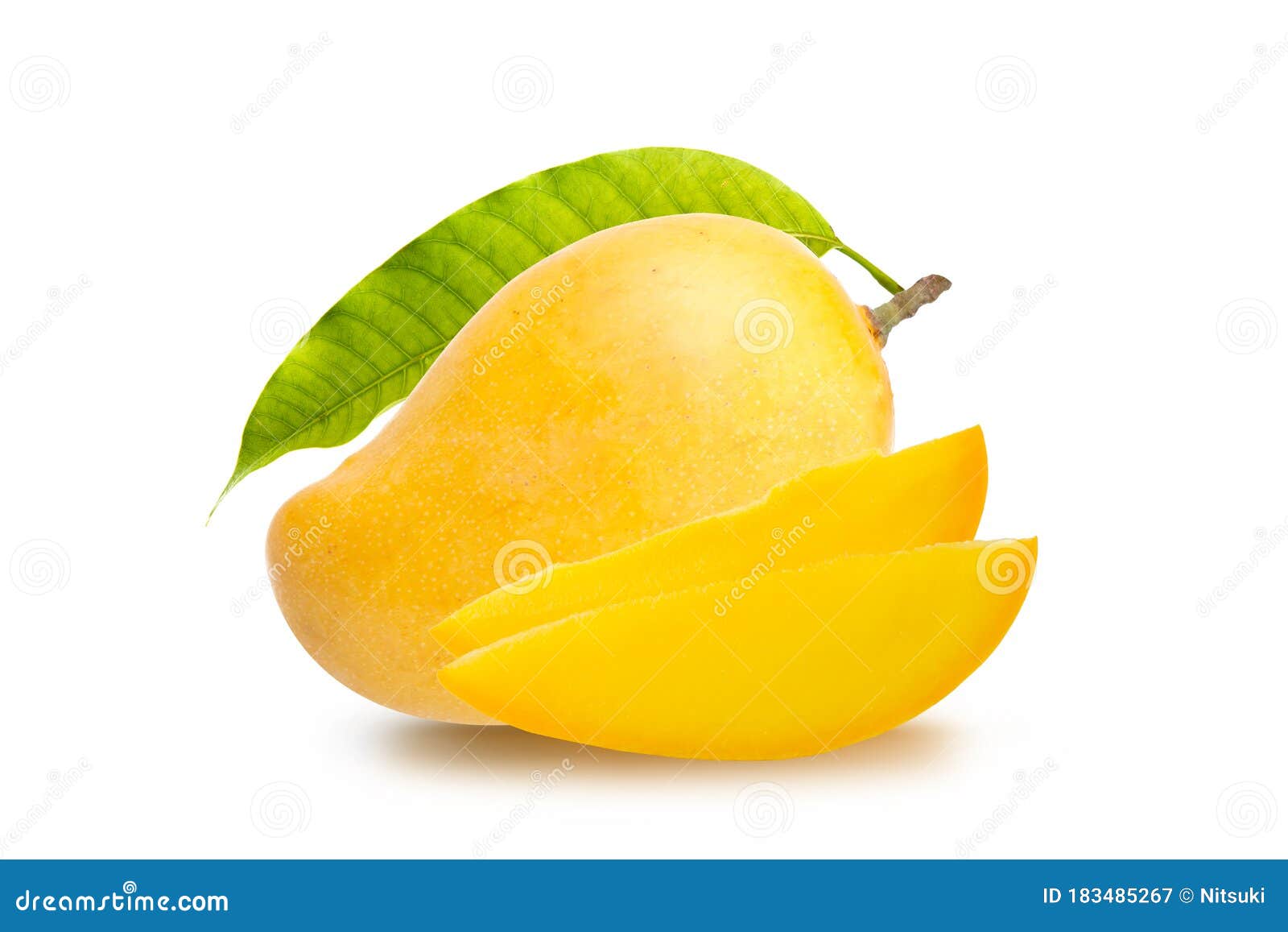 ripe alphonso mango fruit with green leaf