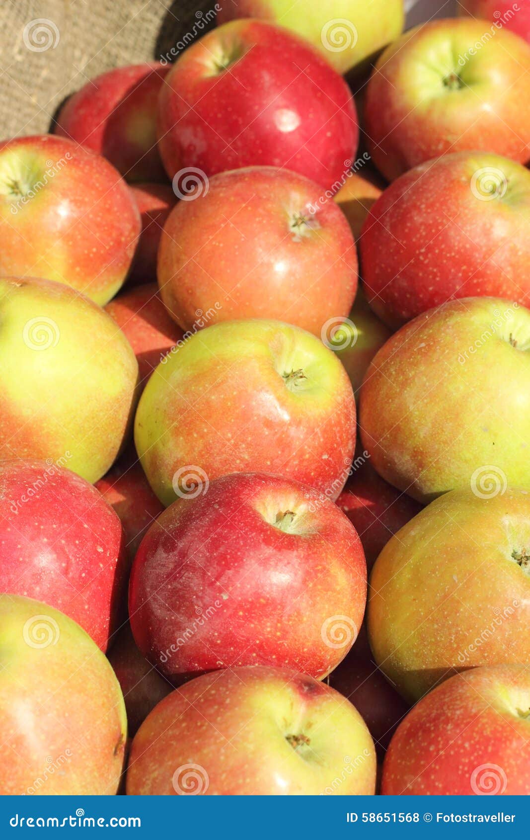 Ripe Apples in the Sun. Background Stock Photo Image of ripe, juice