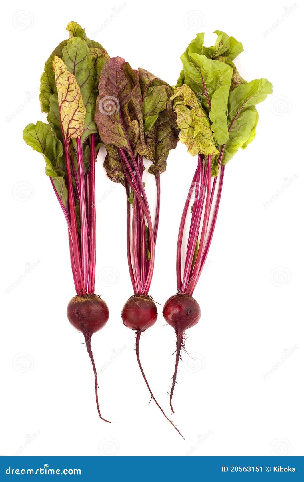 Ripe beetroots stock image. Image of white, gourmet, leaf 20563151