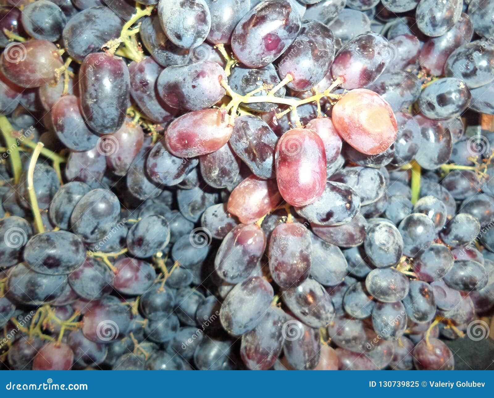 Ripe black grape raisin stock image. Image of grapes 130739825