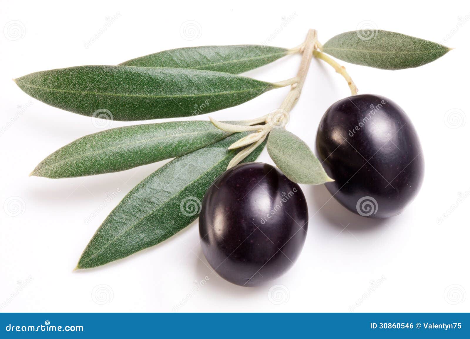 Ripe Black Olives with Leaves. Stock Photo Image of ingredient