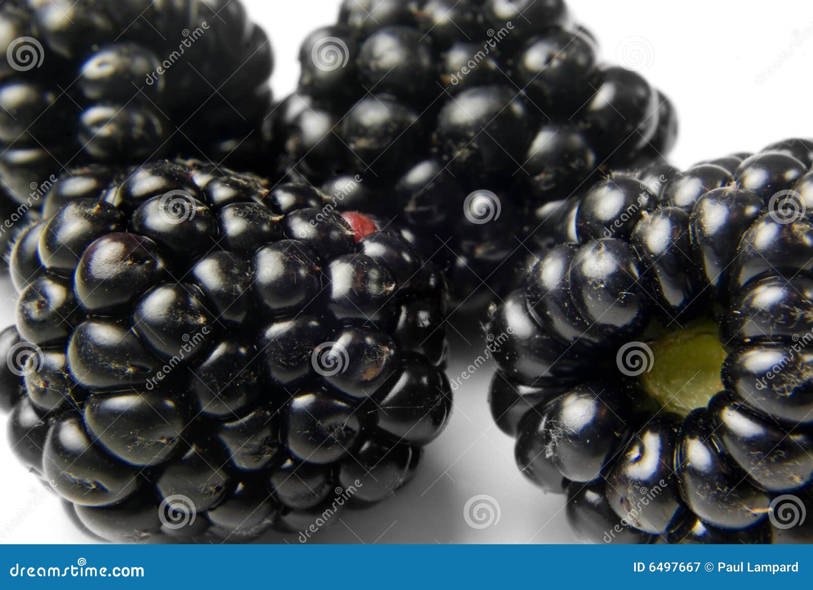 Ripe blackberries close up stock image. Image of natural 6497667