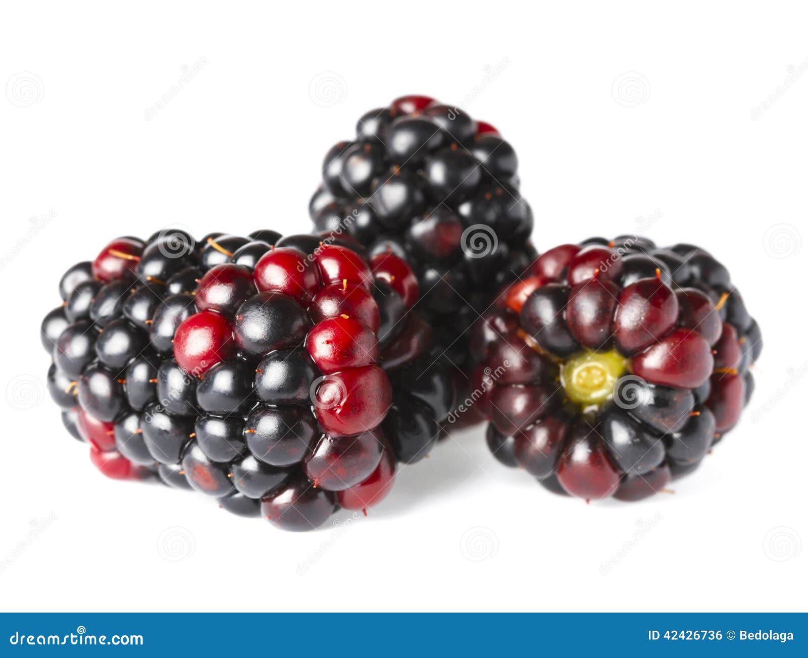 Ripe blackberry over white stock photo. Image of healthy - 42426736