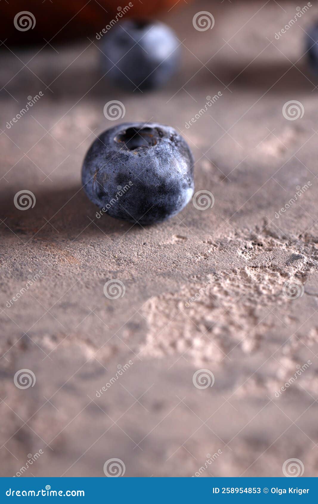 Ripe Blueberries Healthy Food Stock Image Image of delicious, harvest