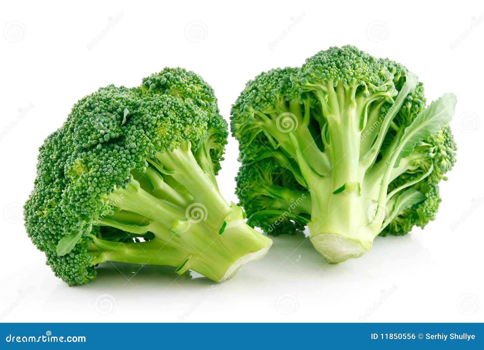 Ripe Broccoli Cabbage Isolated on White Stock Photo Image of eating