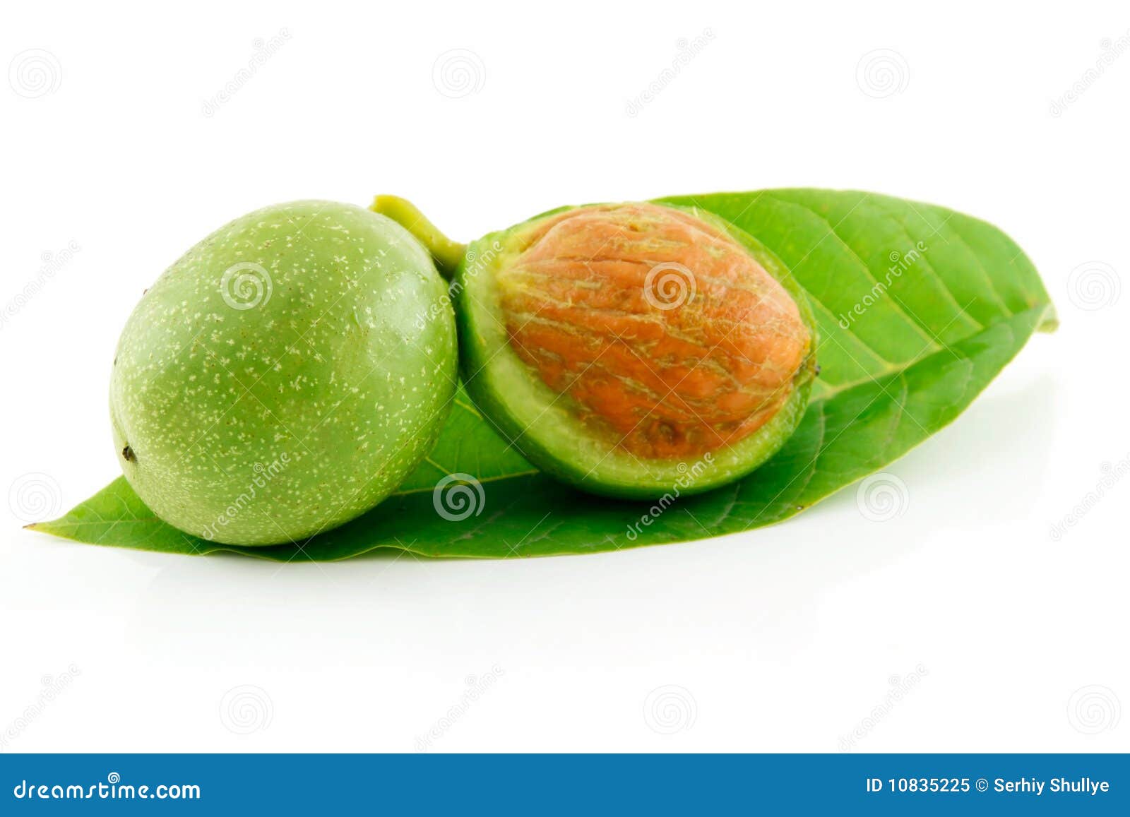 Ripe Broken Walnuts with Green Leaves Isolated Stock Image Image of