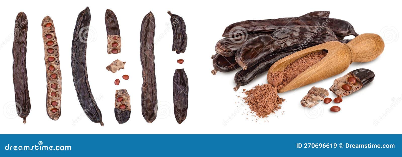 ripe carob pods and bean  on white background with  full depth of field. top view. flat lay. set or collection