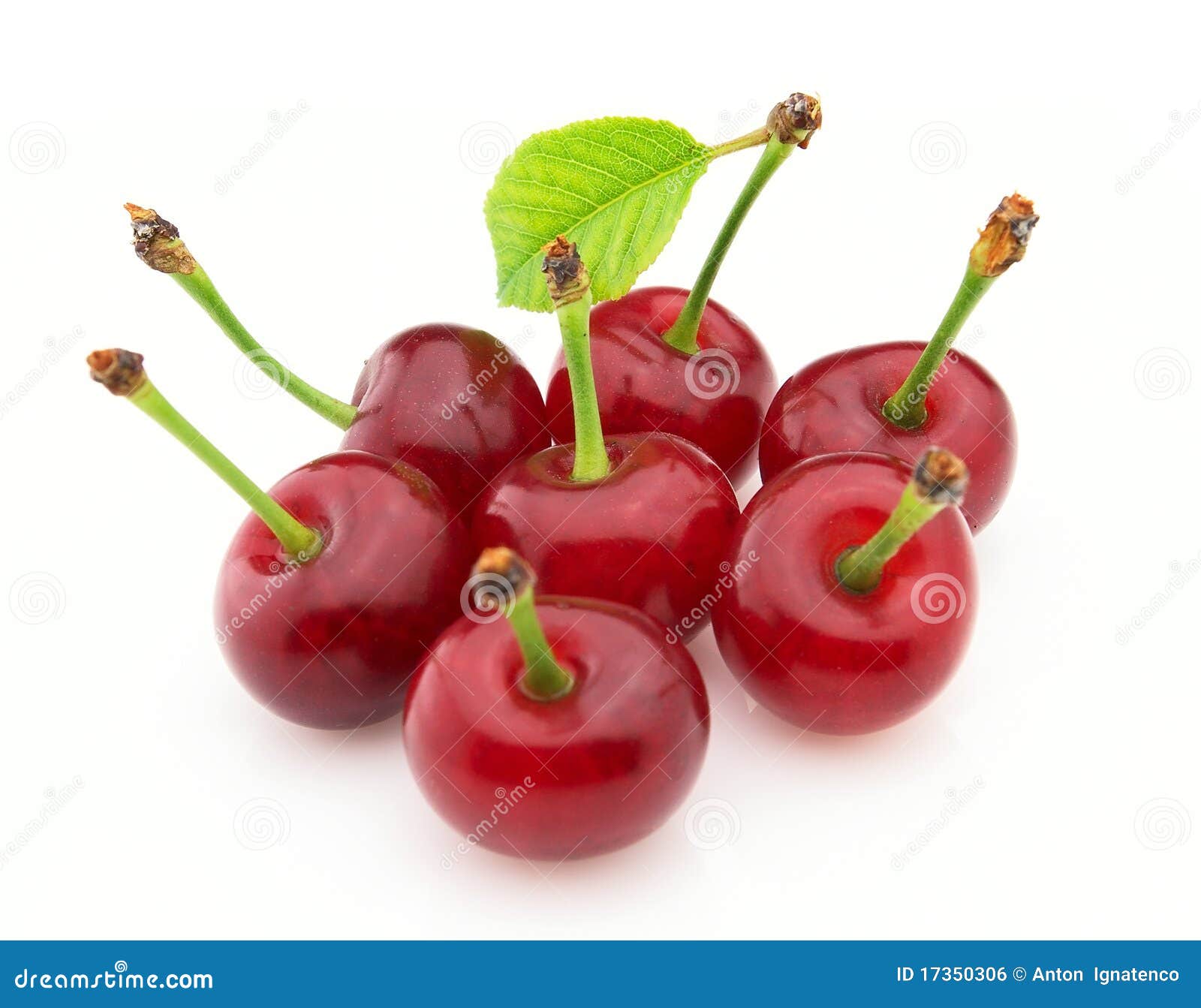 Ripe cherry stock photo. Image of freshness, nature, ripe 17350306