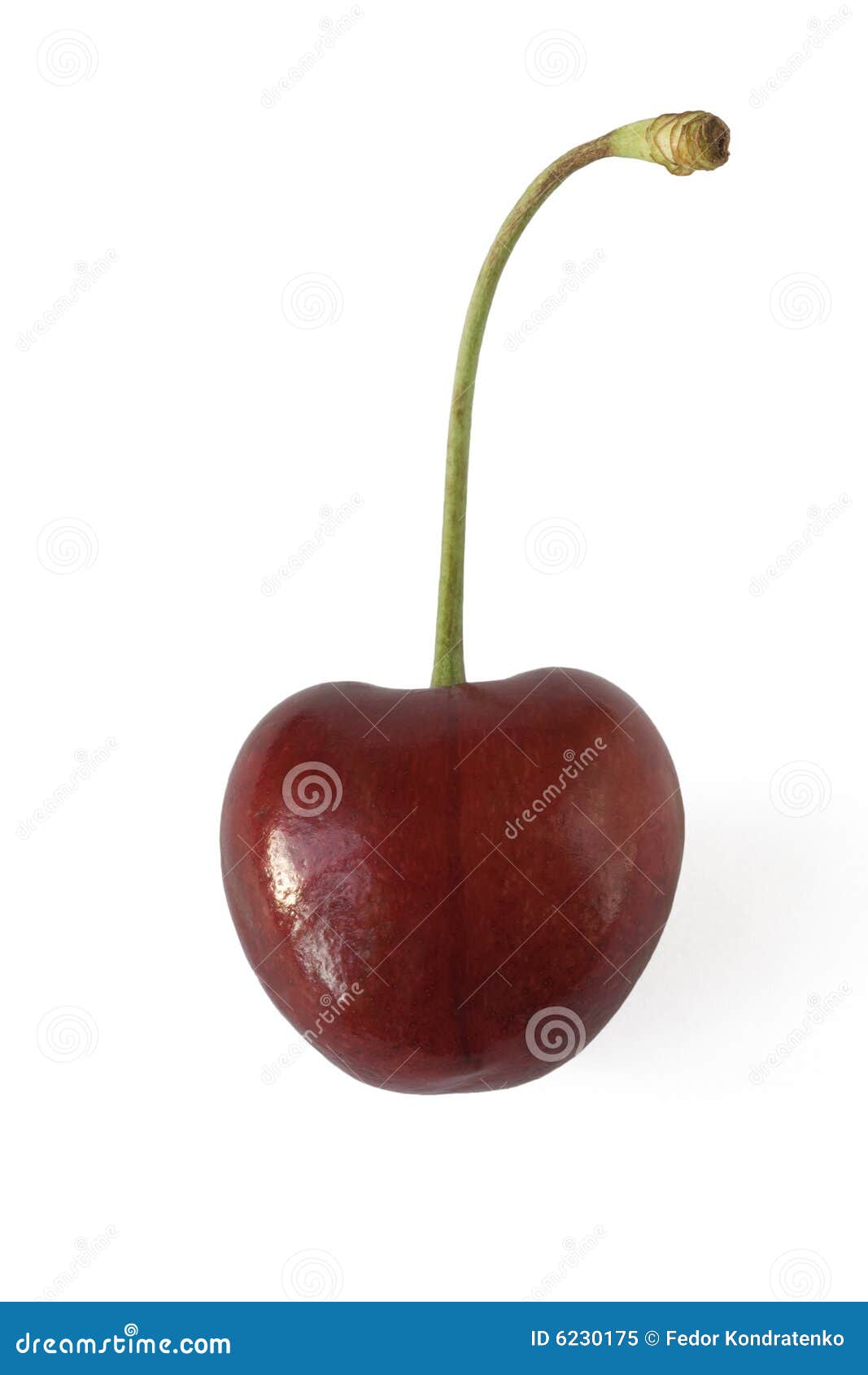 Ripe Cherry Isolated on White Stock Image Image of food, ripe 6230175