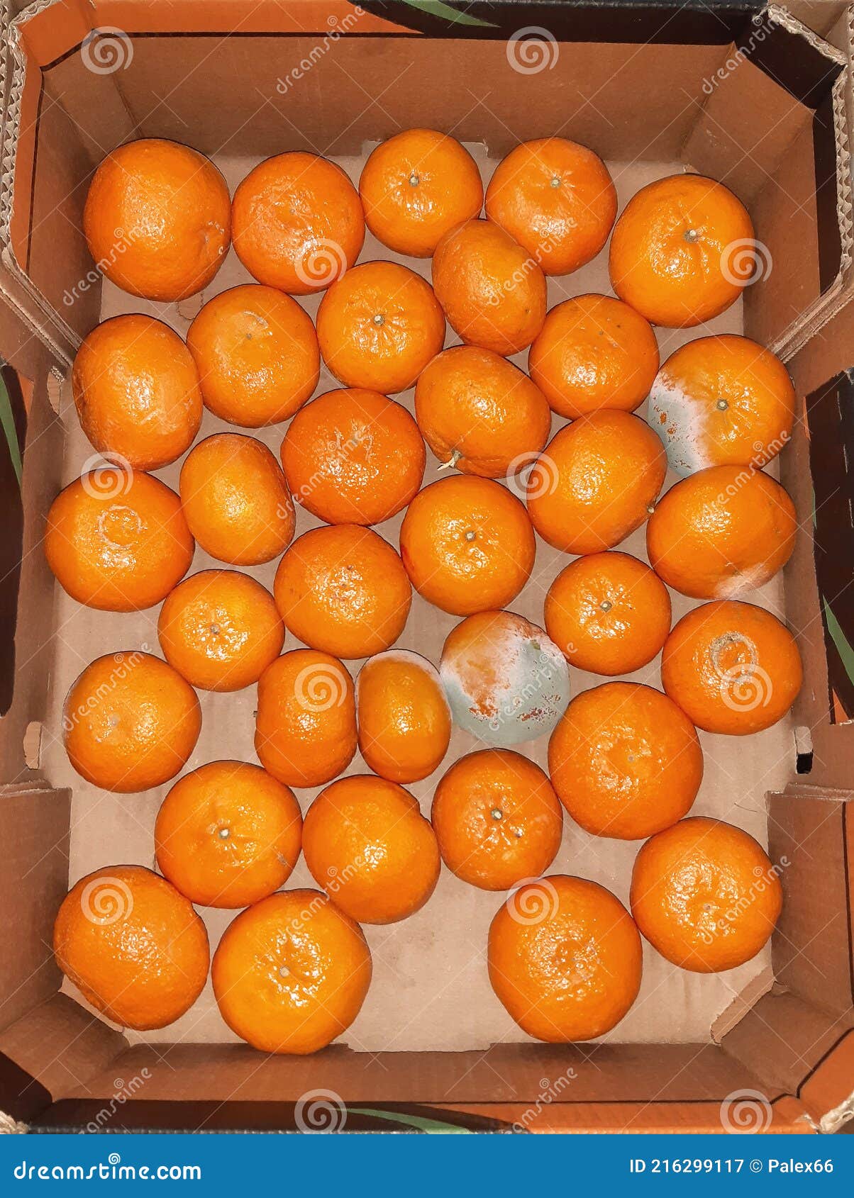 ripe citrus fruits in cardboard boxe