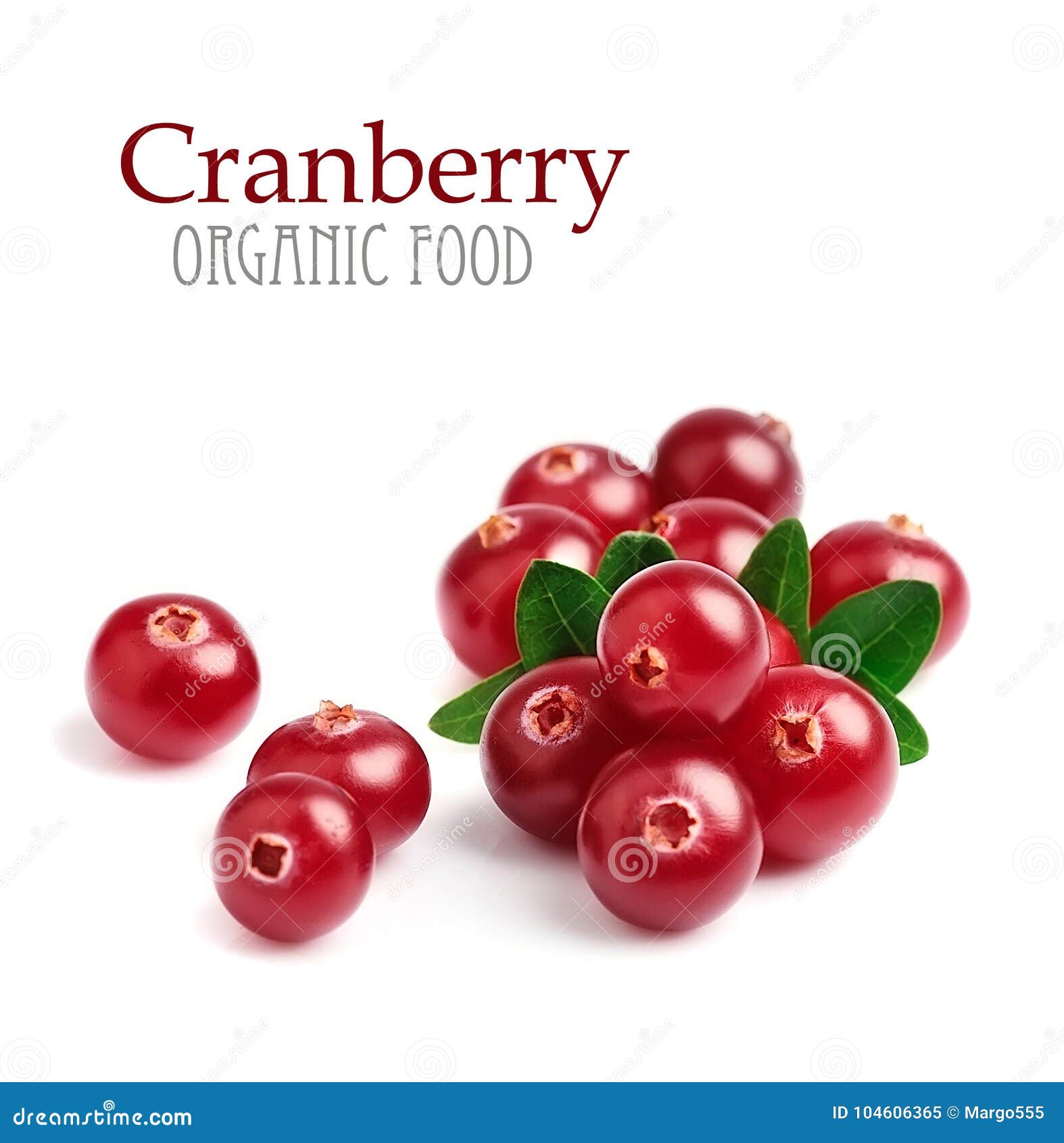 Ripe Cranberry with Leaves. Stock Image Image of ingredient, snack 104606365