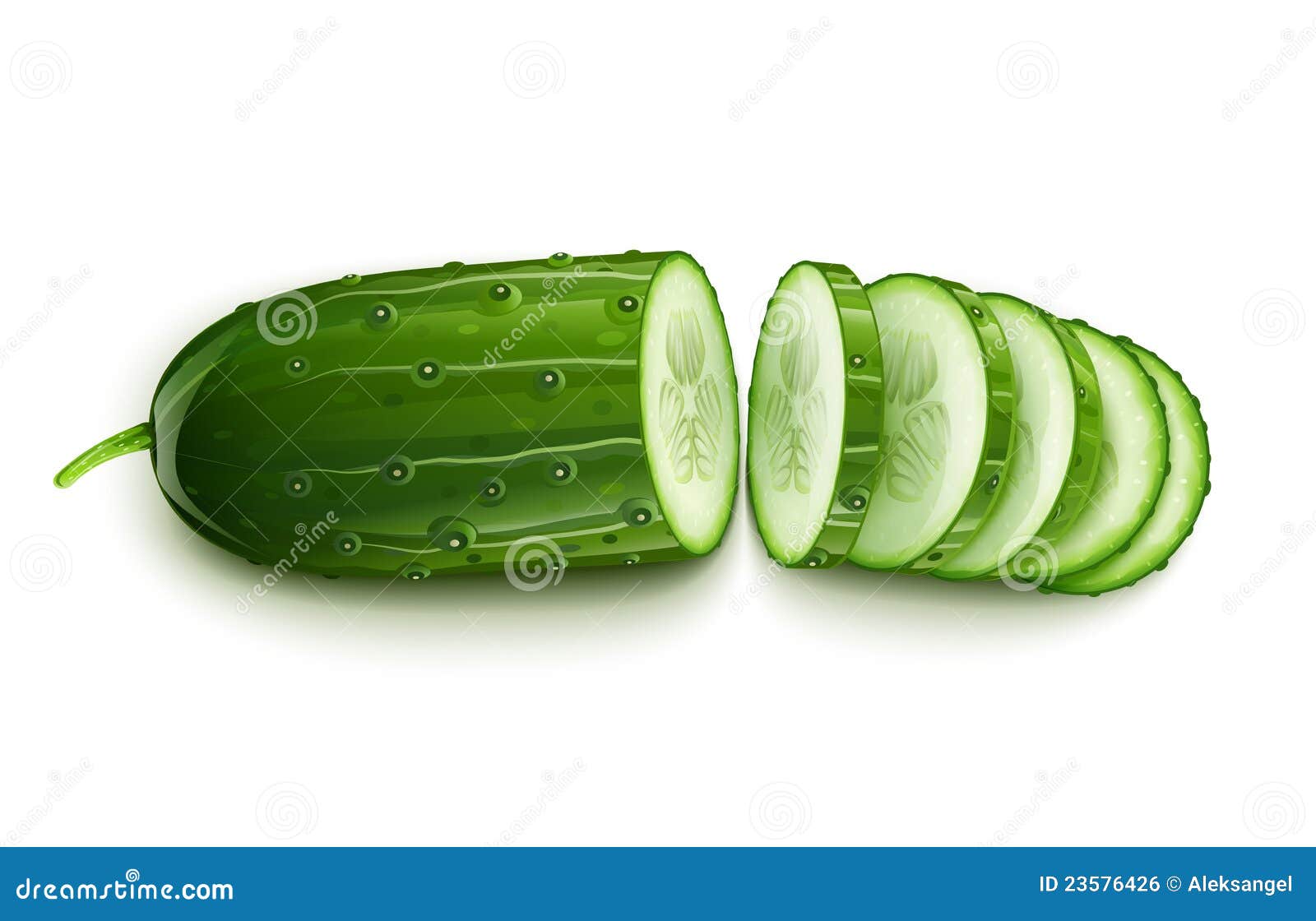ripe cucumber cut segment