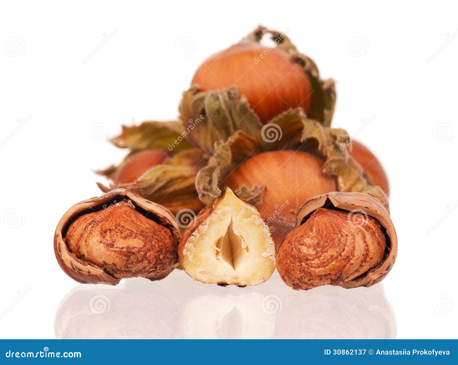 Ripe filberts stock image. Image of organic, harvest 30862137