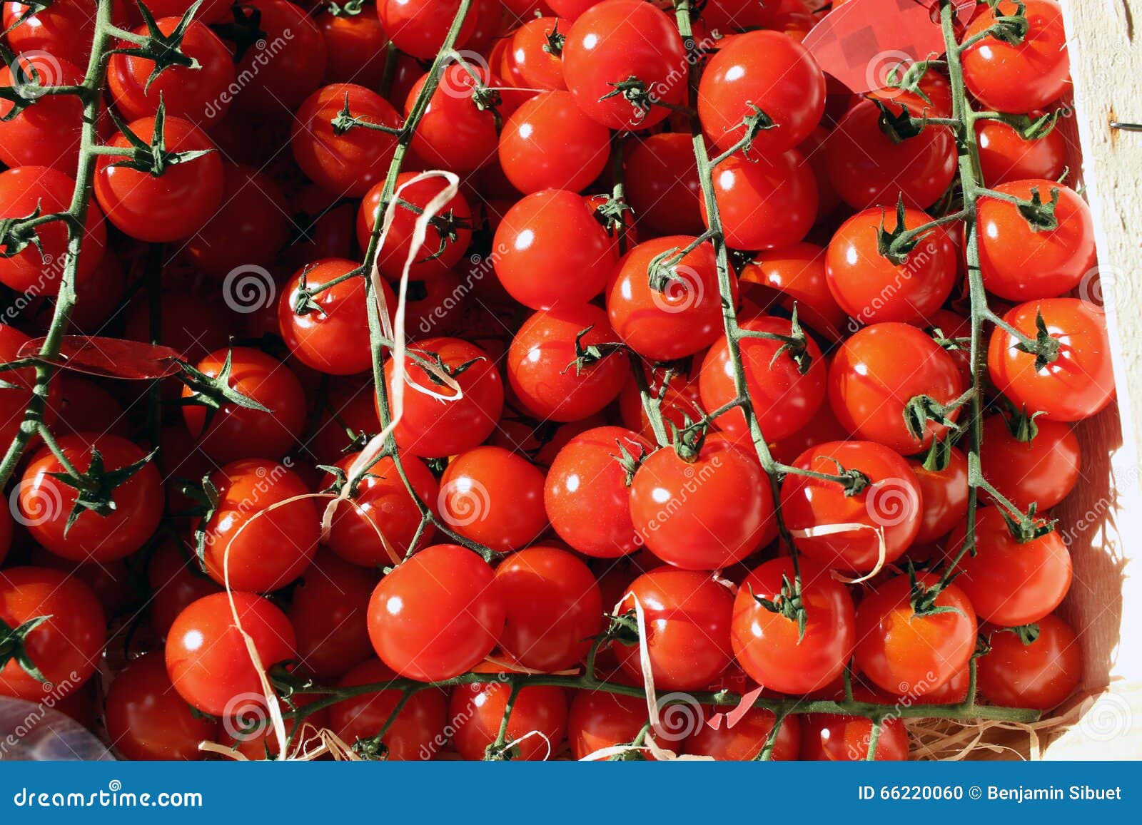 Ripe Fresh Cherry Tomatoes stock photo. Image of ingredient - 66220060