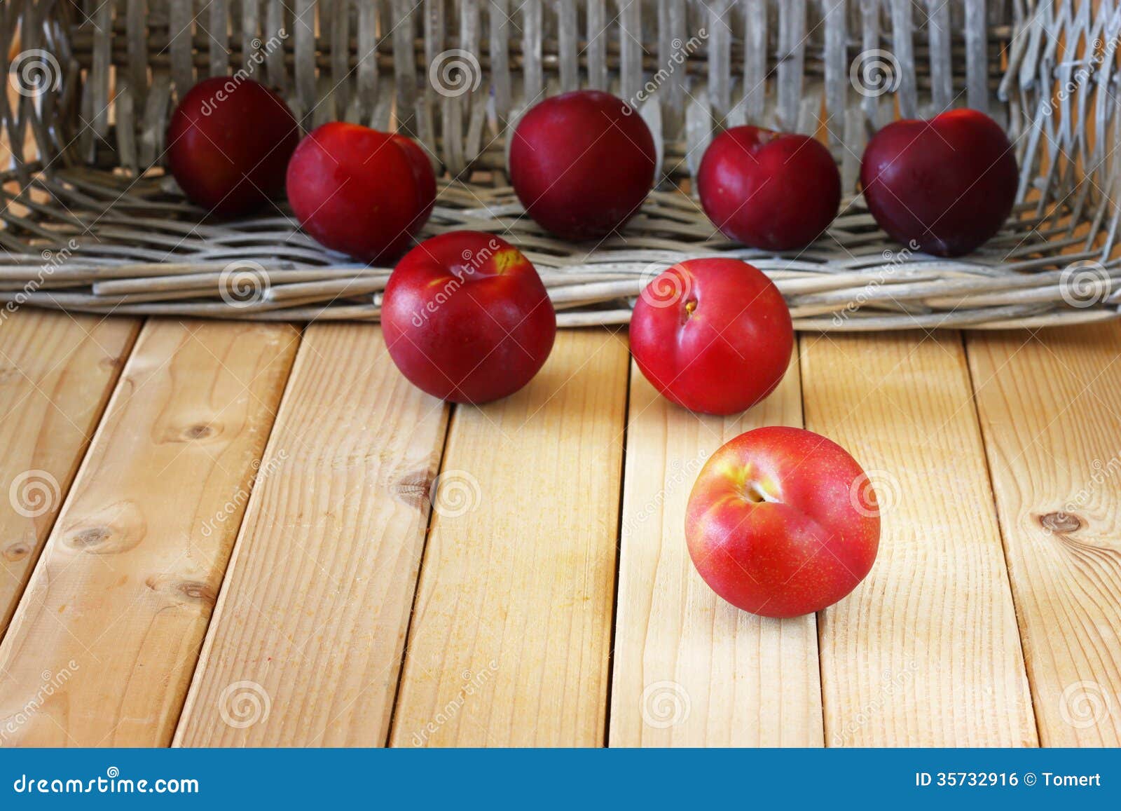 Ripe Fresh Picked Plums Scattered from Wicker Basket Closeup Stock Photo Image of diet