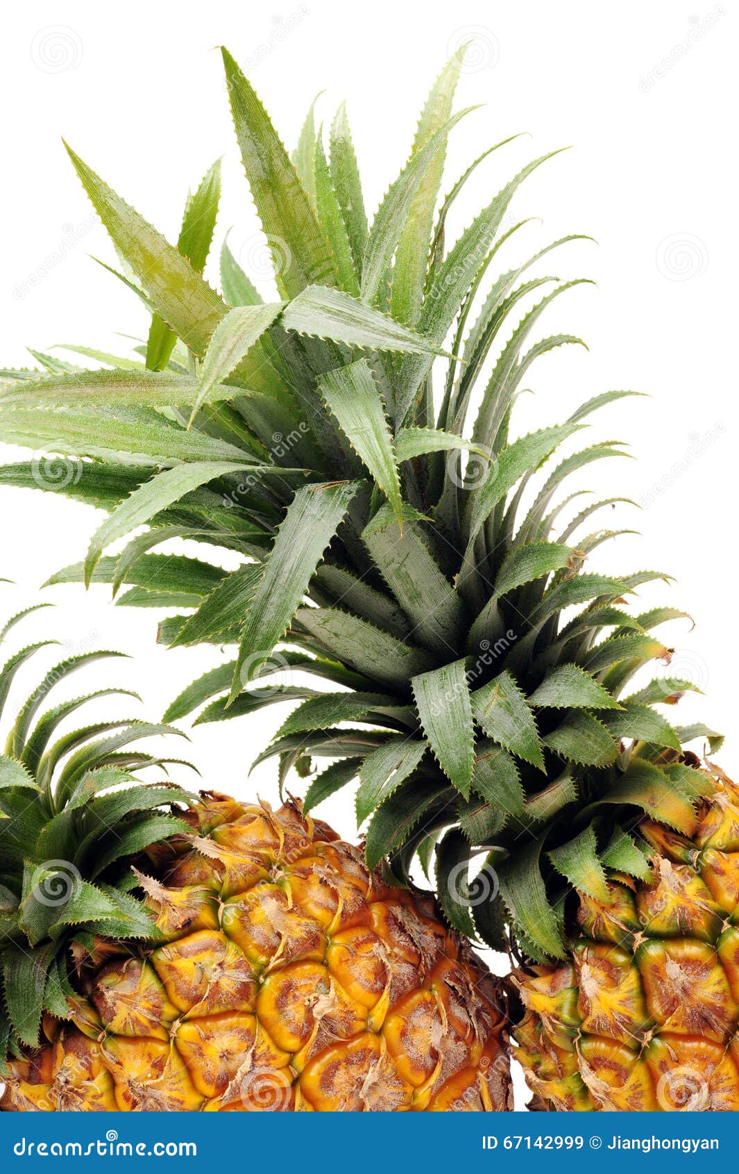 Ripe fruits Pineapple stock image. Image of tasty, organic 67142999