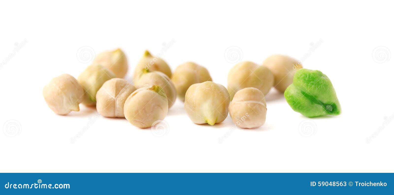 Ripe grains of chickpea stock image. Image of green, agriculture 59048563
