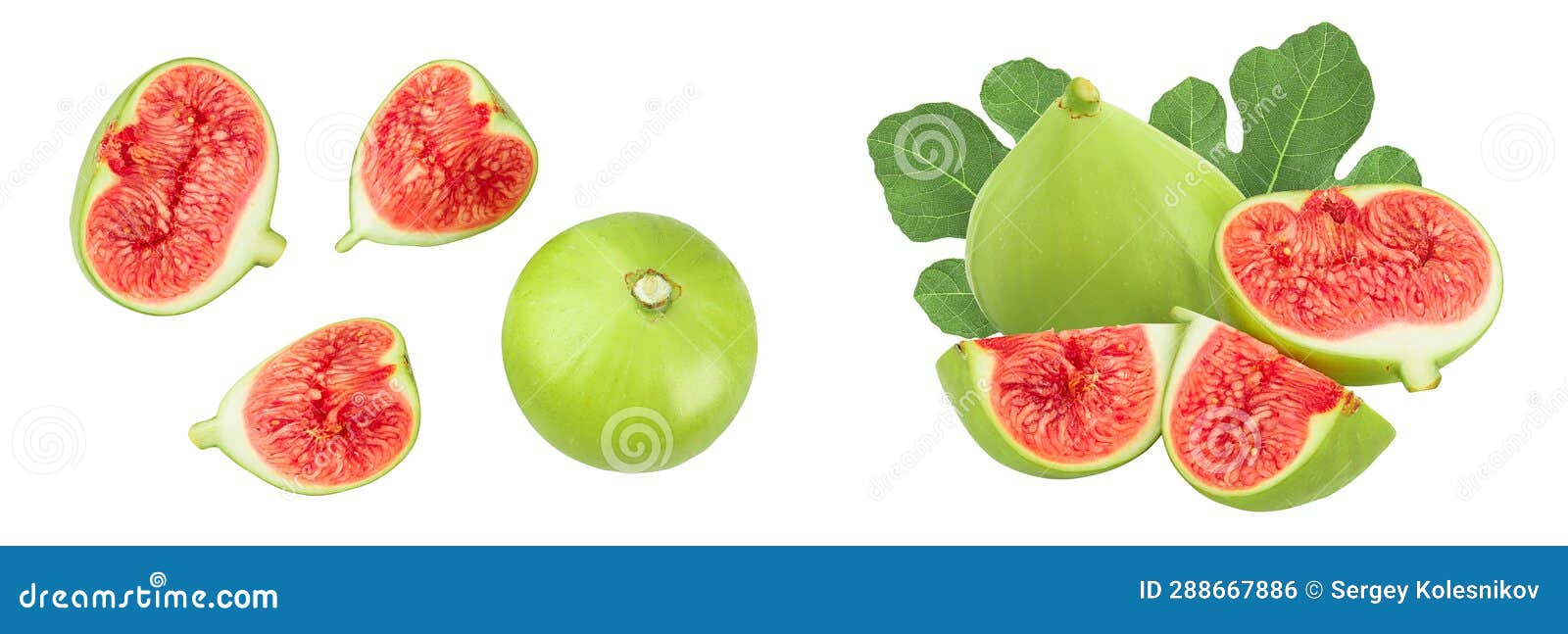 Ripe Green Fig Fruit Isolated on White Background with Full Depth of
