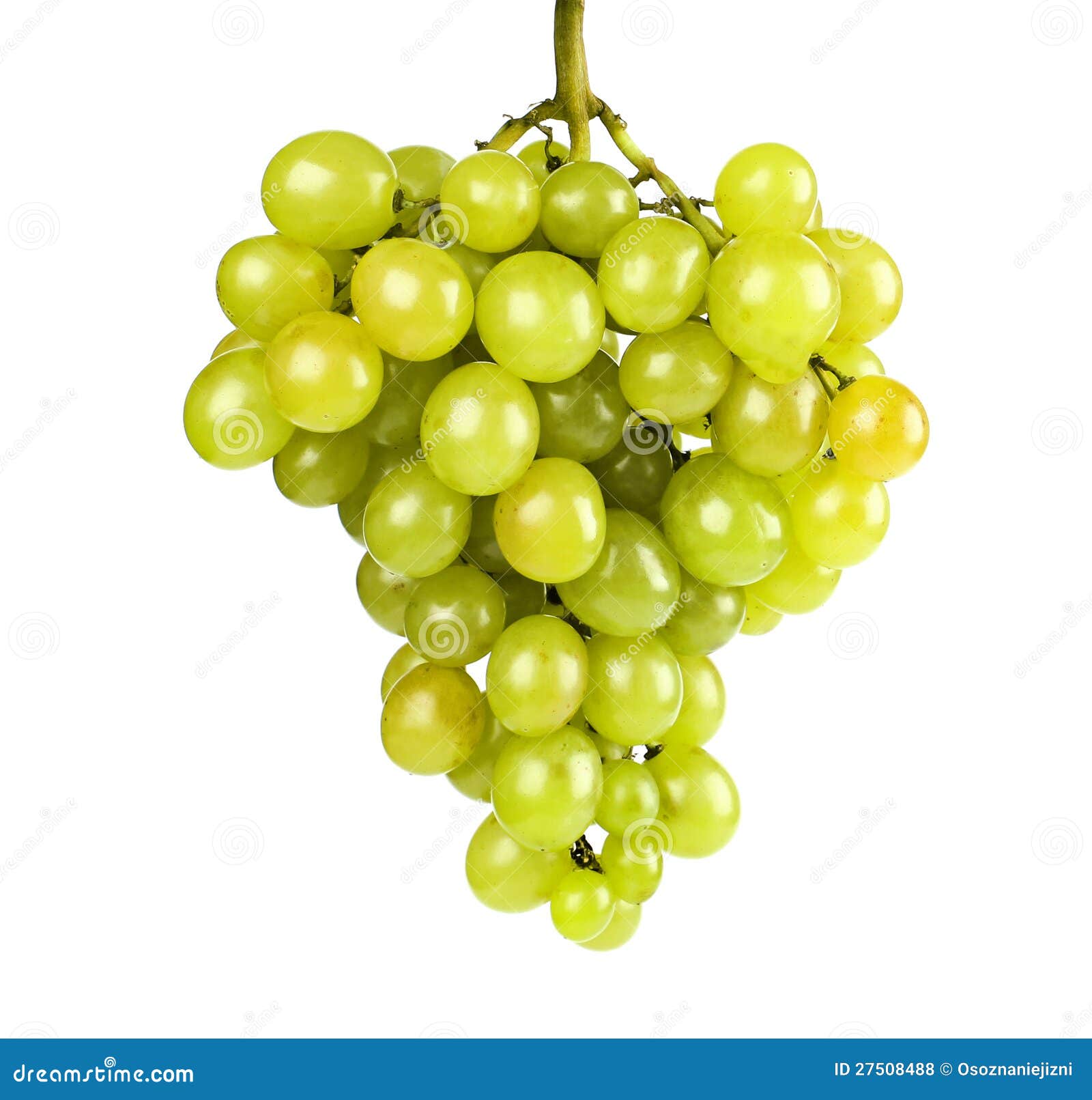 Ripe green grapes stock photo. Image of food, healthy - 27508488