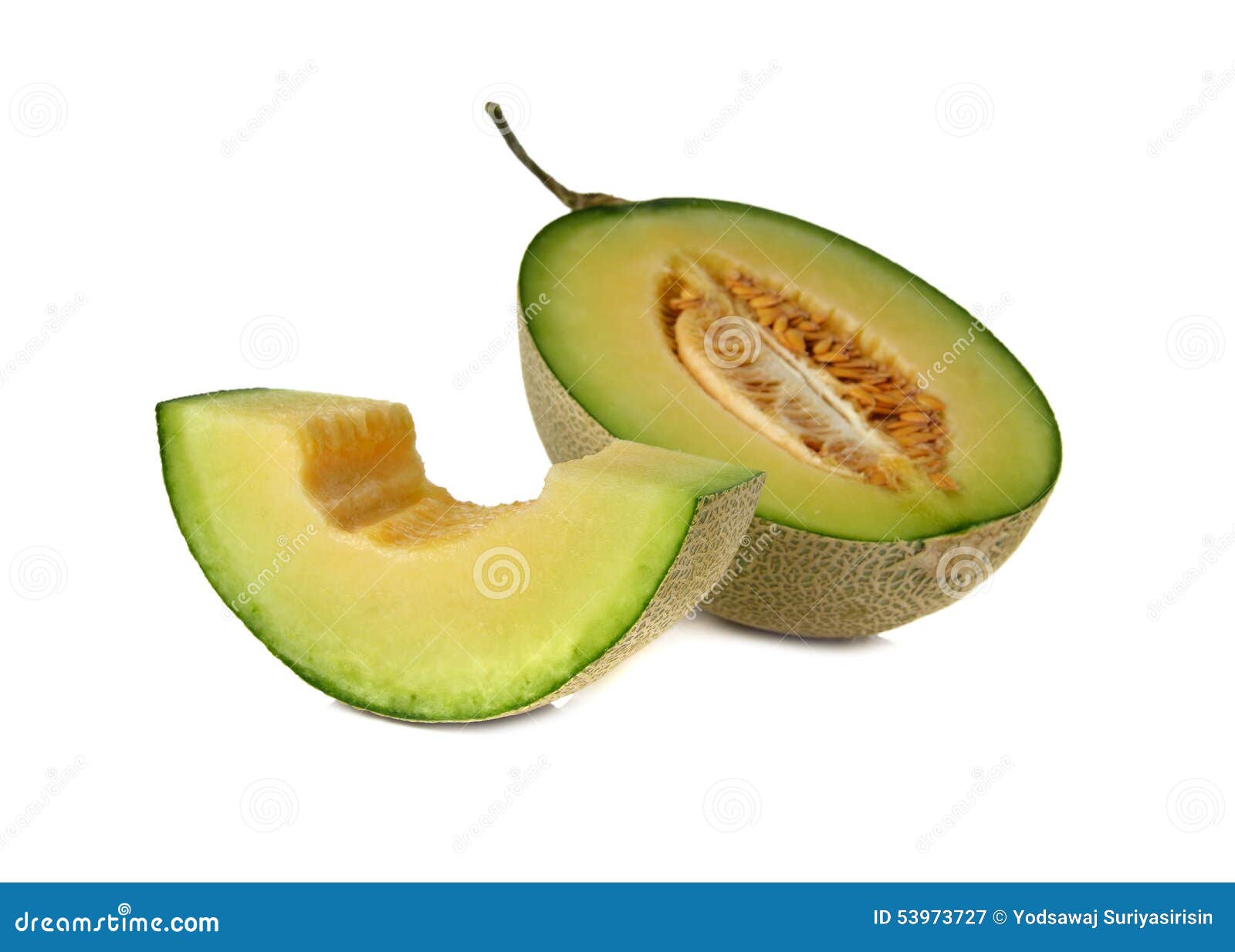 Ripe Green Melon with Stem on White Stock Image Image of diet, juicy
