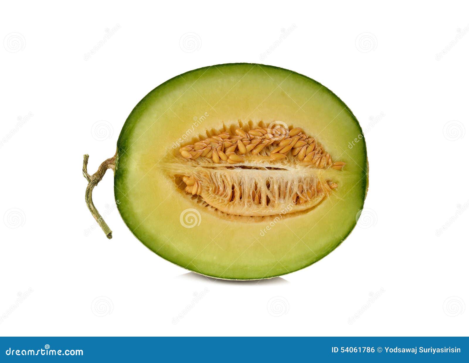 Ripe Green Melon with Stem on White Stock Photo Image of organic