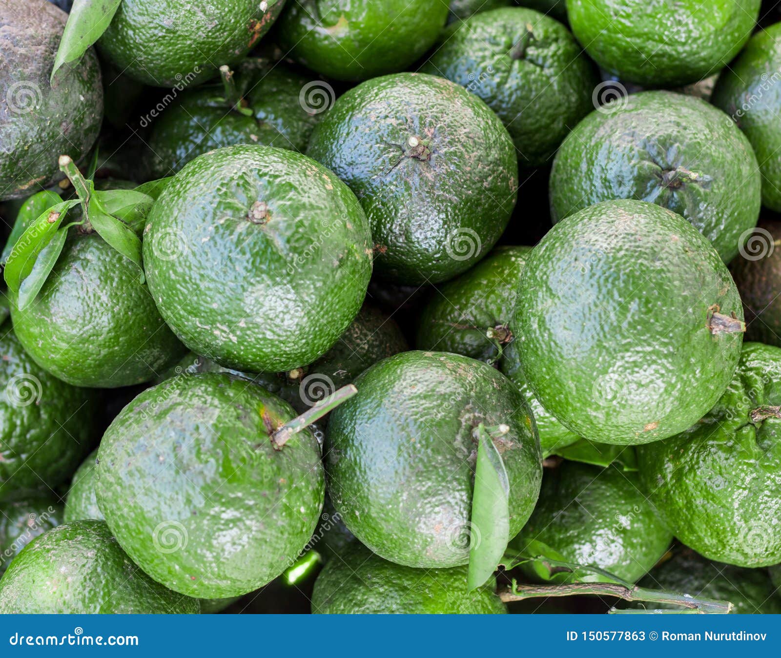 Ripe Green Oranges on Top of Each Other Stock Image Image of nutritious, juicy 150577863