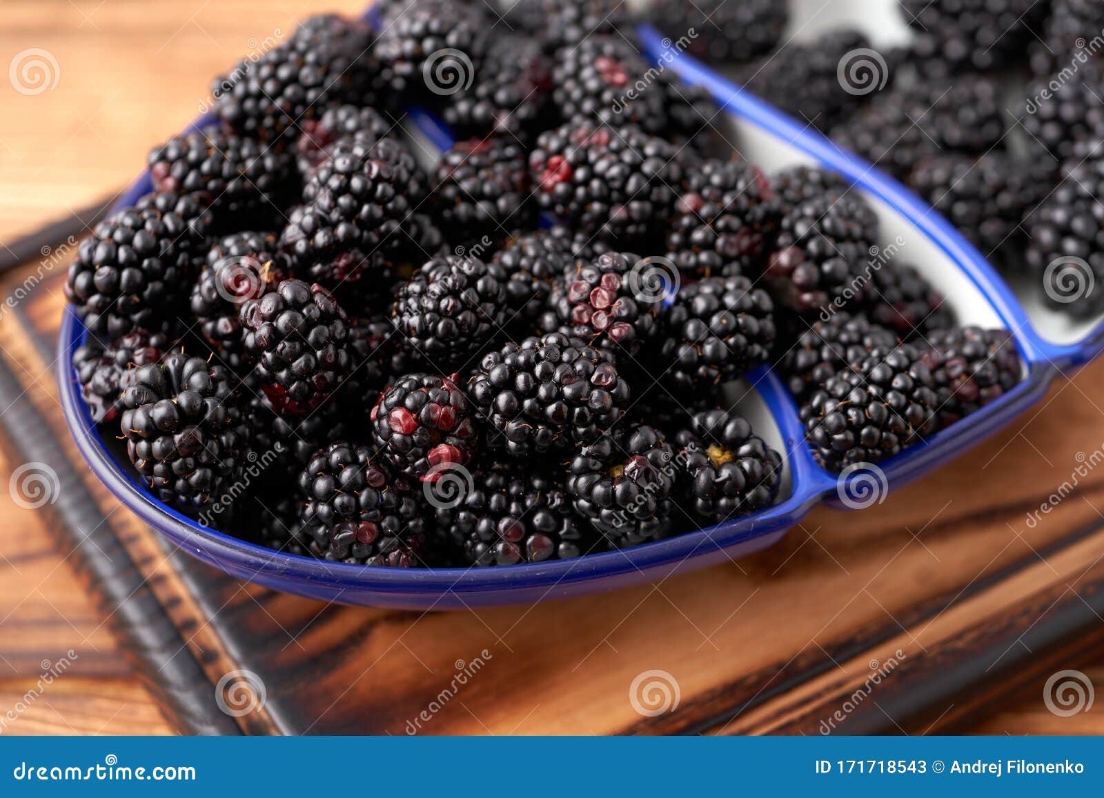 Ripe, Juicy Large Organic Blackberry in a White Dish with a Blue Border ...