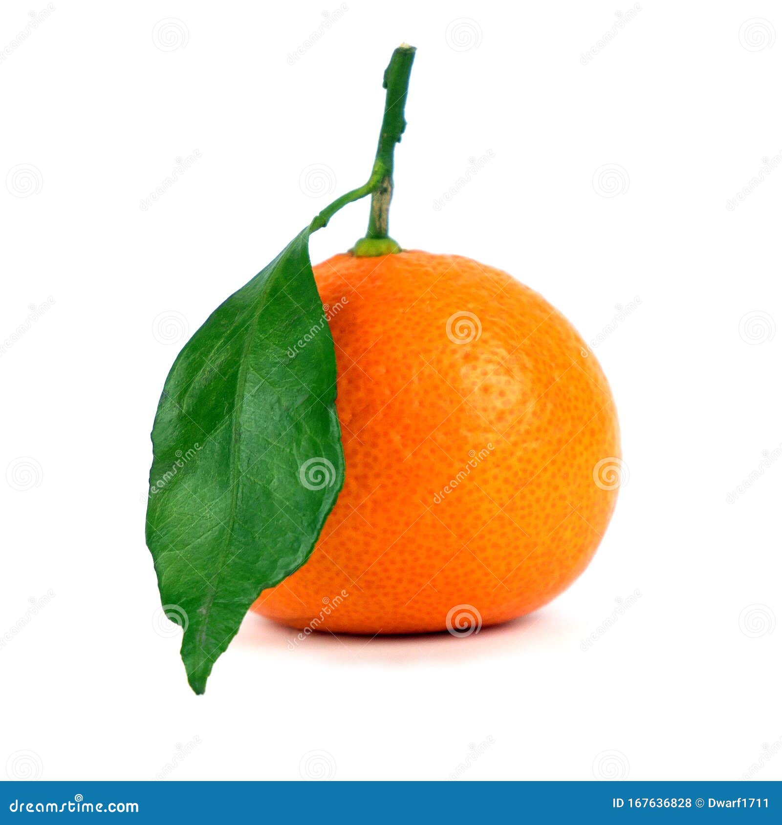 Ripe juicy mandarin with leaf isolated on white background