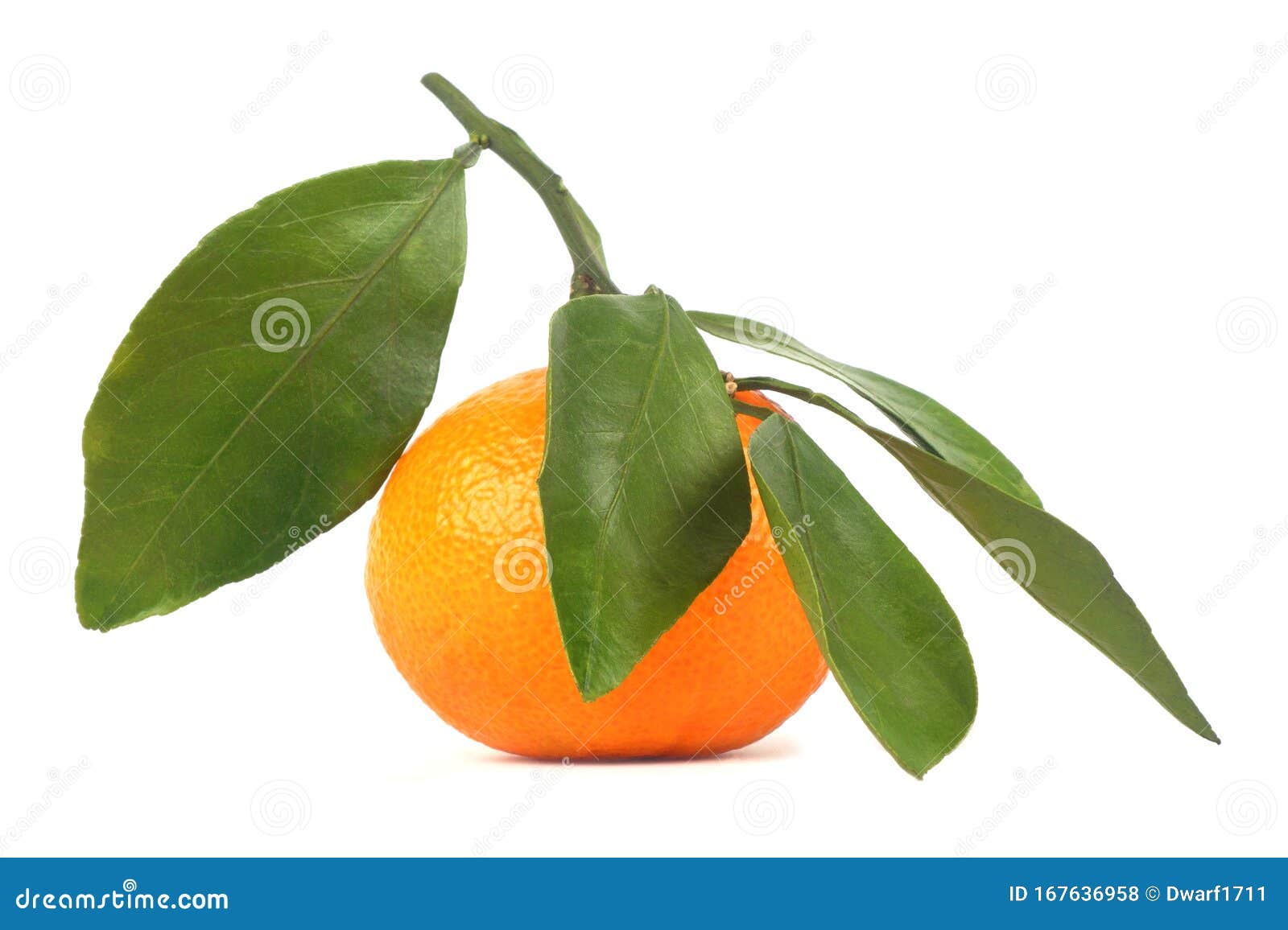 Ripe  juicy orange mandarin with leaves Isolated on a white background