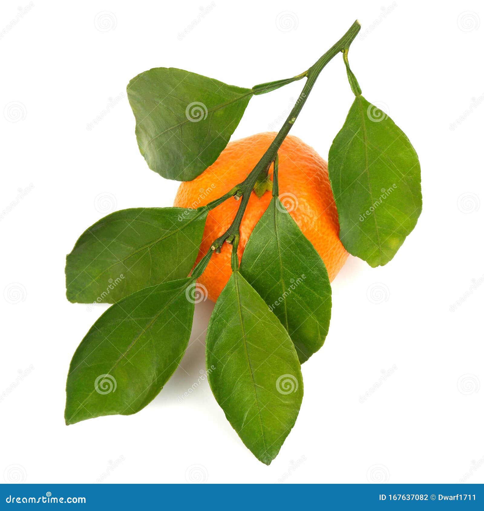 Ripe  juicy orange mandarin with leaves Isolated on a white background