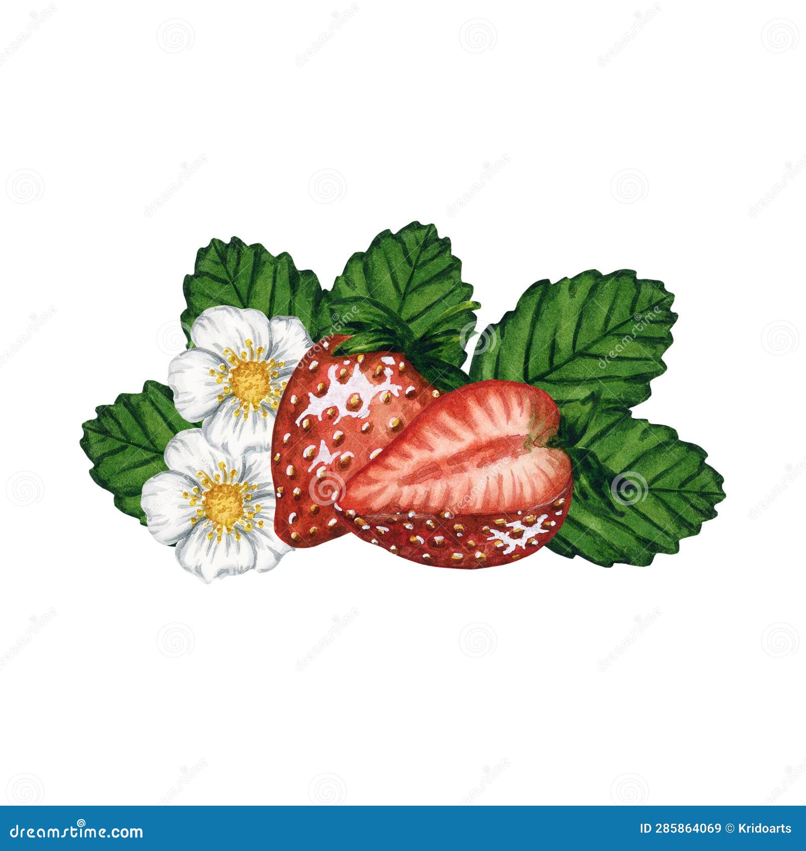 Strawberry Fabric Watercolor Wild Strawberries, Fruit, Berry