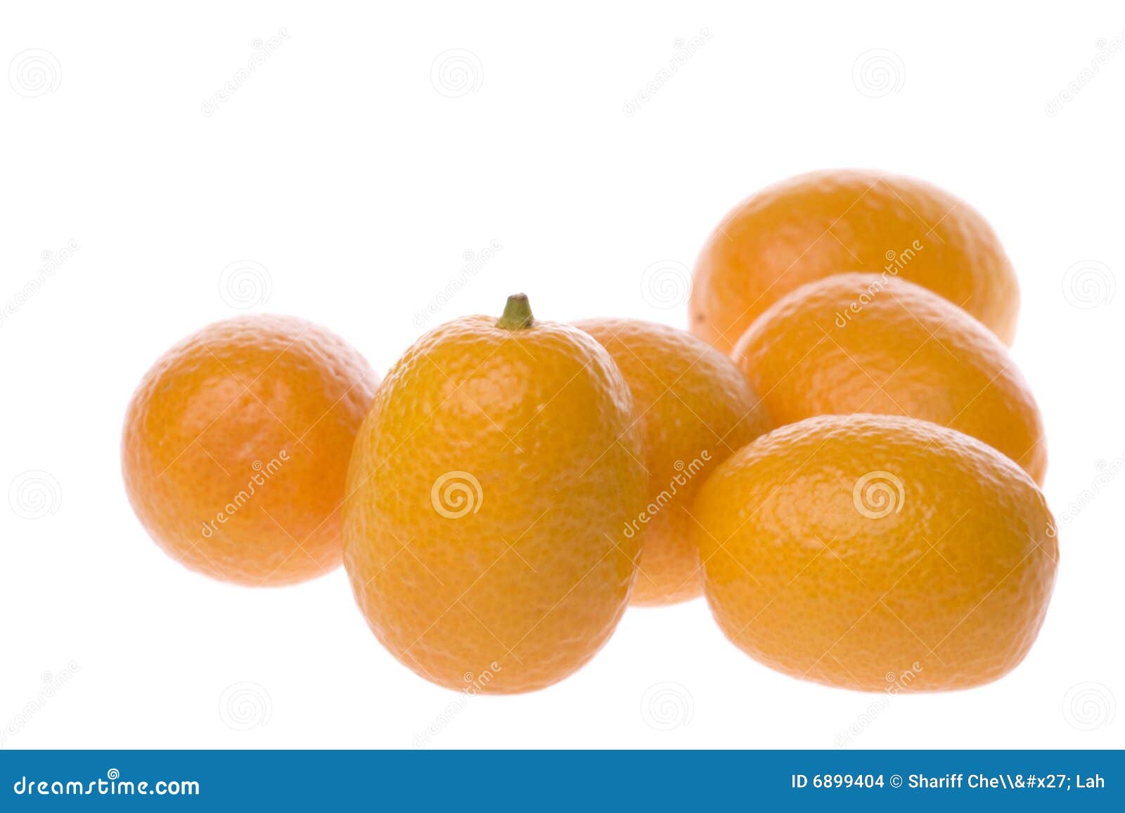 Ripe kumquats stock photo. Image of details, nutritional 6899404