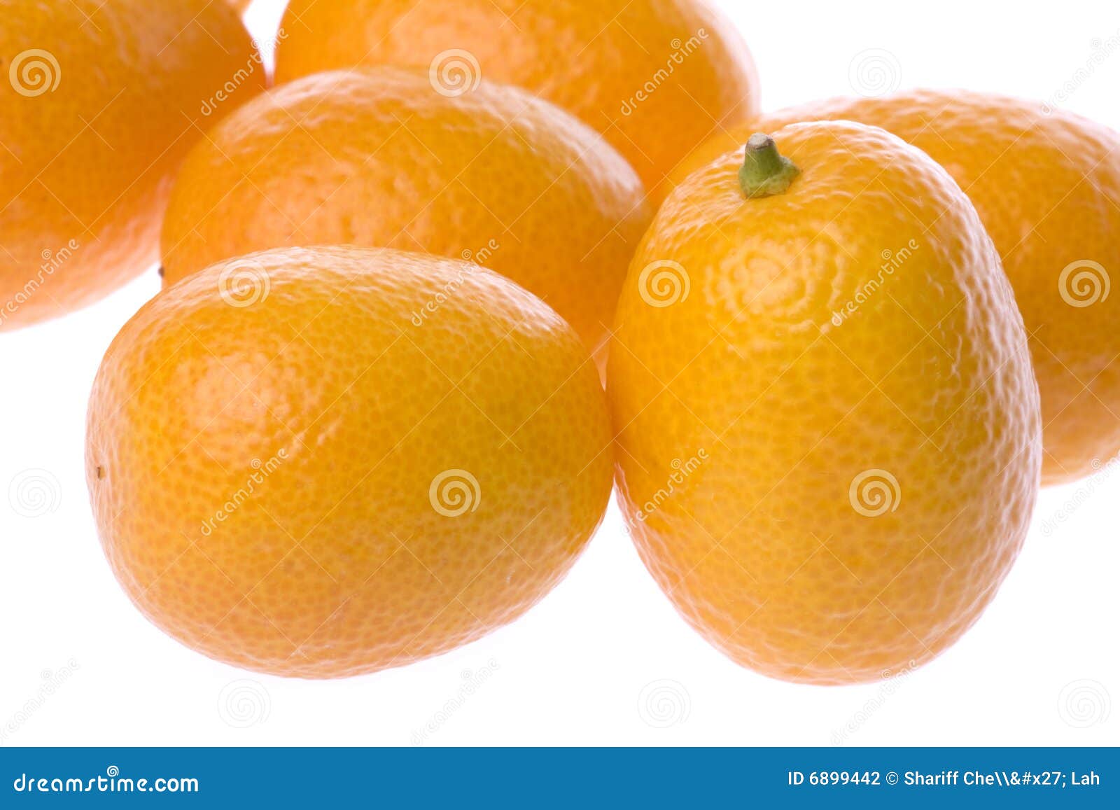 Ripe kumquats stock photo. Image of group, white, wholesome 6899442