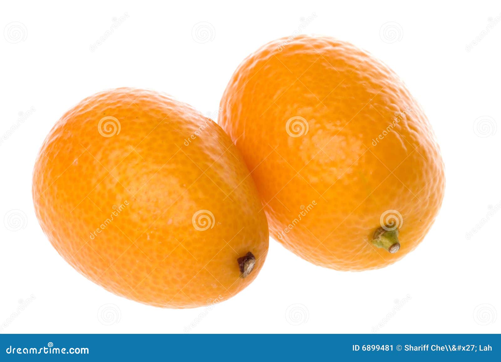 Ripe kumquats stock image. Image of nutritious, kumquats 6899481