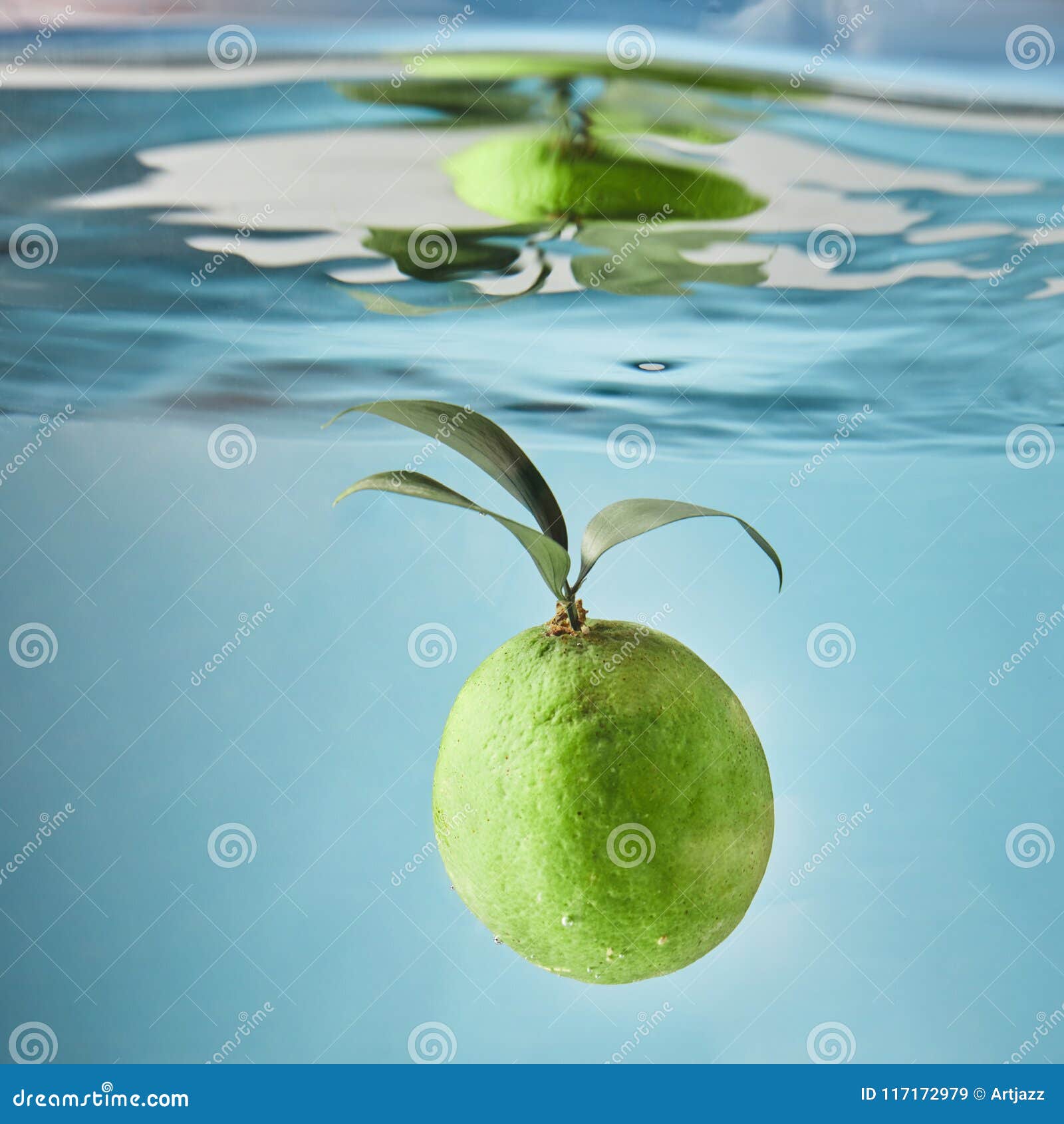 Ripe Lime with Leaves Falls into the Water Stock Image - Image of ...