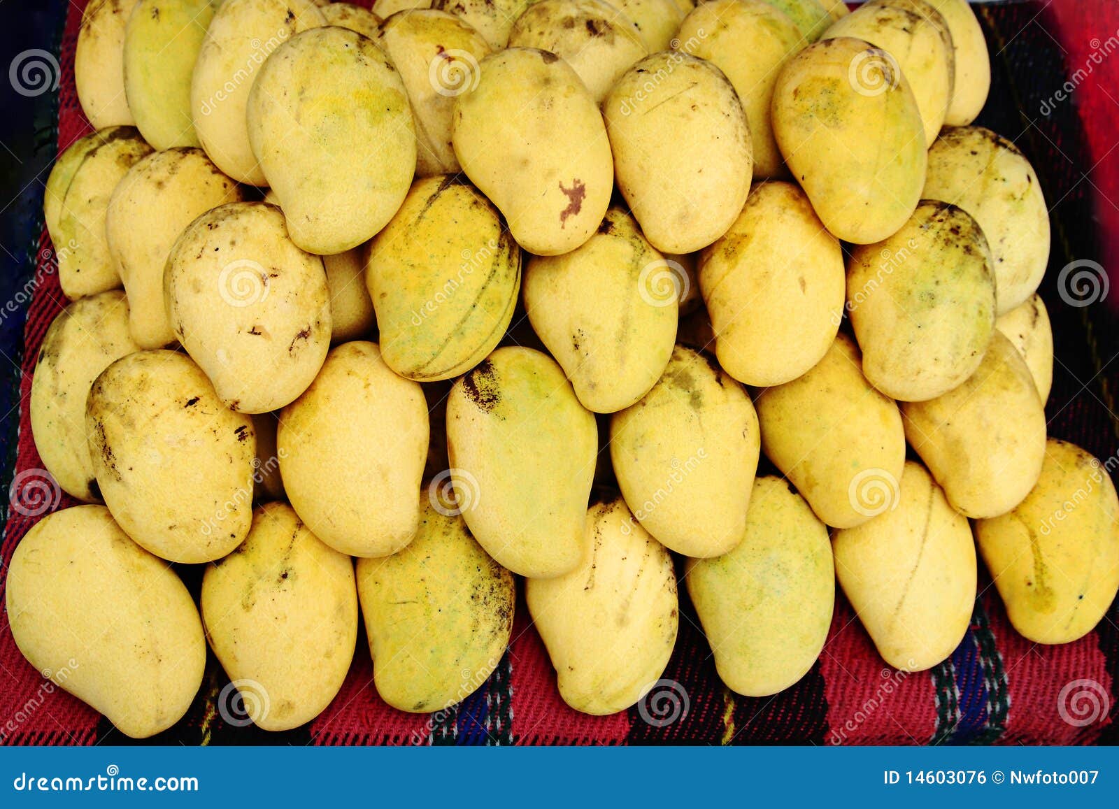 Ripe mango for sale stock photo. Image of color, mango 14603076