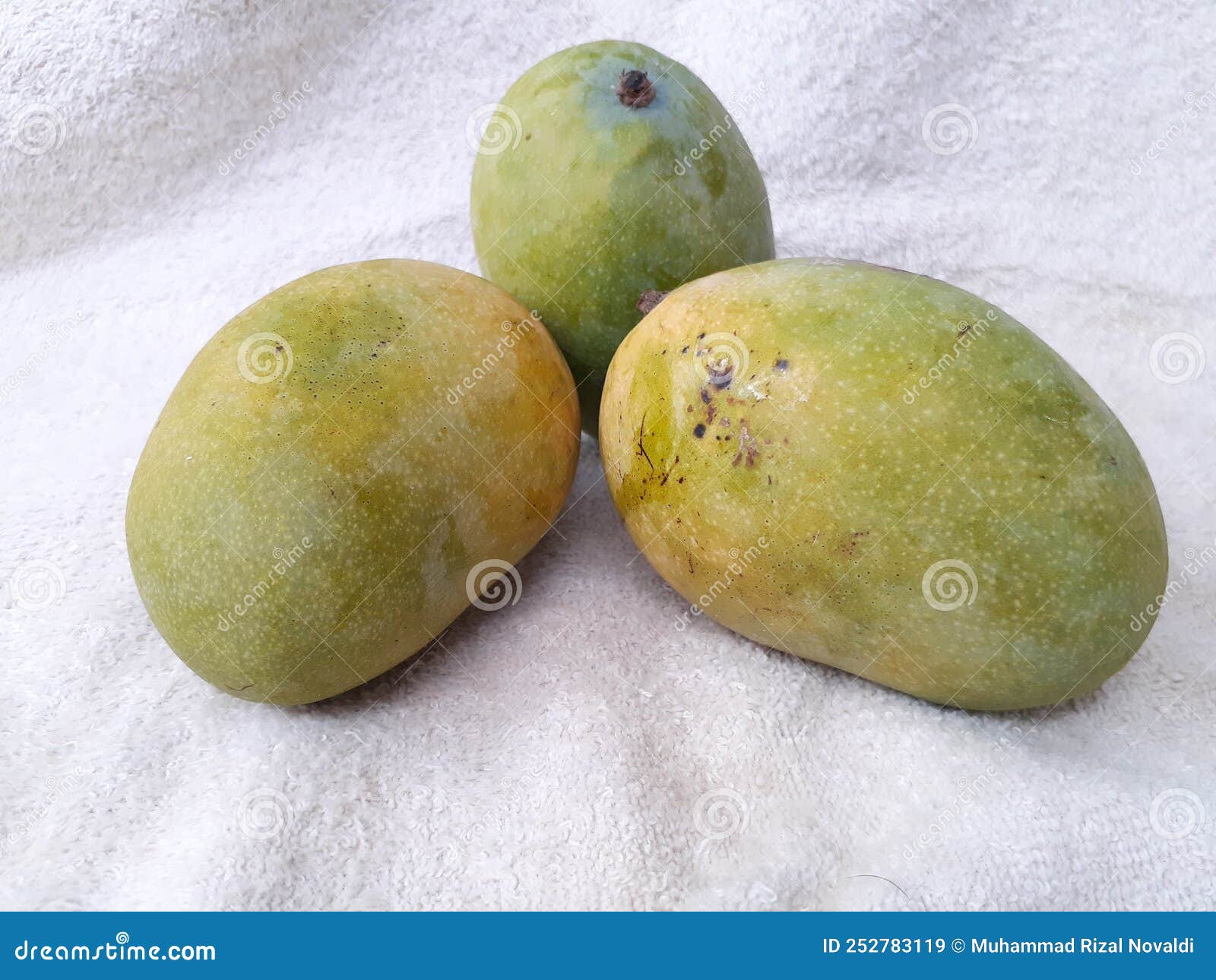 Ripe Mangoes are Ready To Eat Stock Image Image of green, yellow