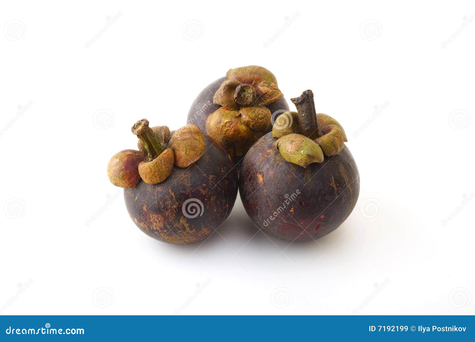 Ripe mangosteen stock image. Image of dark, sweet, mangosteen 7192199