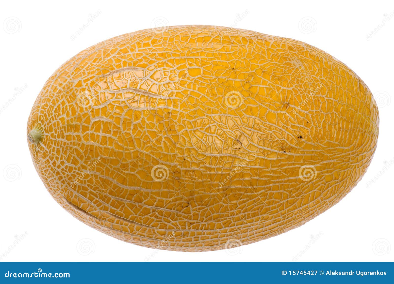 Ripe melon stock image. Image of juicy, food, water, round 15745427