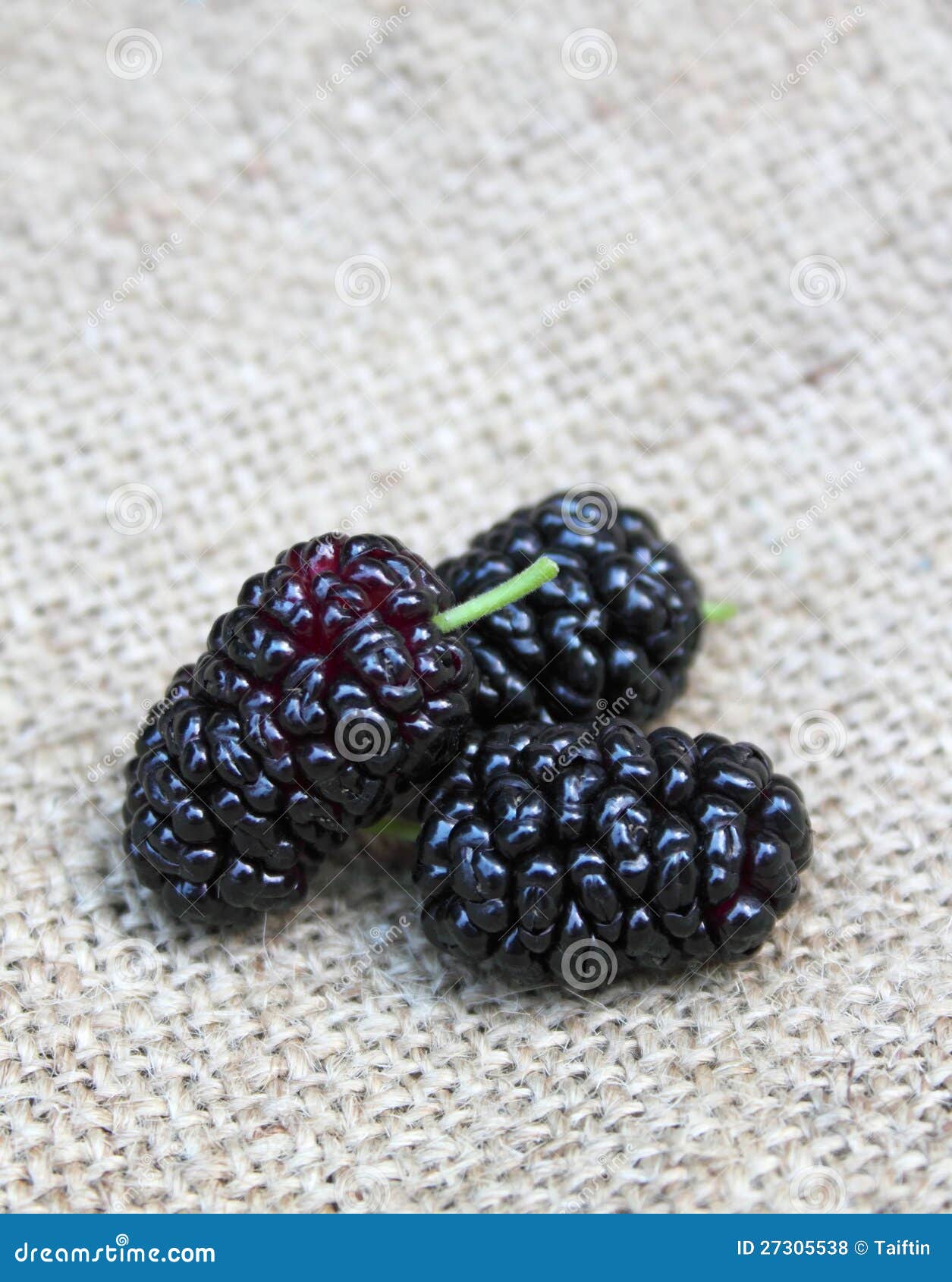 Ripe mulberries stock photo. Image of closeup, fruit 27305538