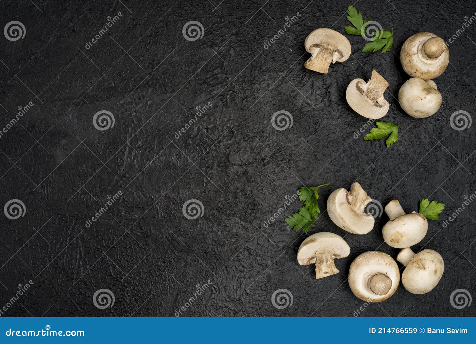 Mushroom on Black Background Stock Image Image of black, fresh 214766559